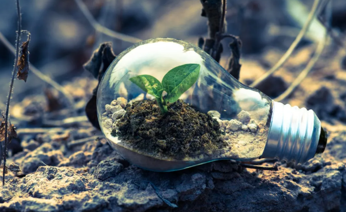 How Technology Supports Environmental Sustainability